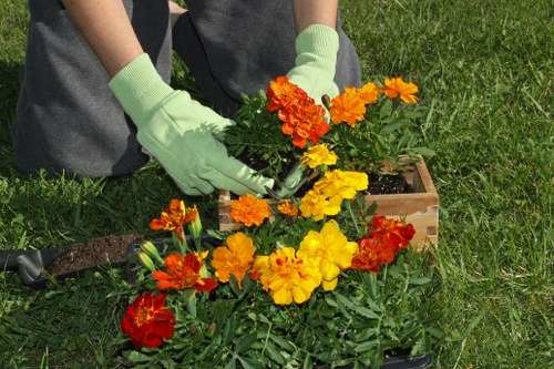 Escalated landscaping complaint being reconsidered professionally