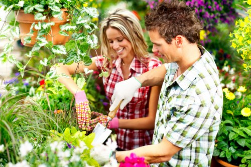 Professional Thamesmead landscaping creating welcoming and functional outdoor spaces