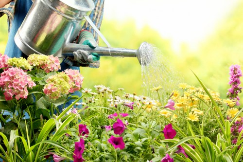Local garden landscaping work including paving and planting in Thamesmead