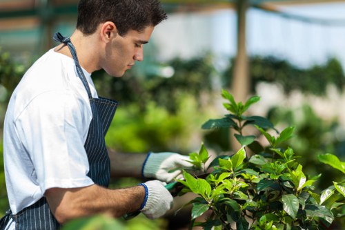 Trained landscaper using safe working practices on site