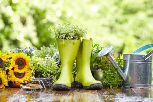 Client raising a landscaping concern with supporting photos