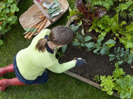 Garden waste being collected during landscaping work