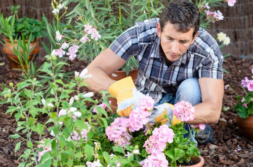 Updated cookie policy for Landscaping Thamesmead website